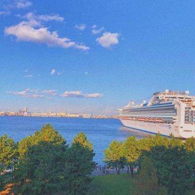 网信彩票-用户登录