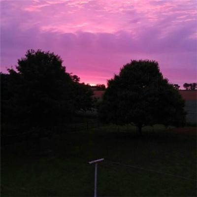 9博体育app下载官网